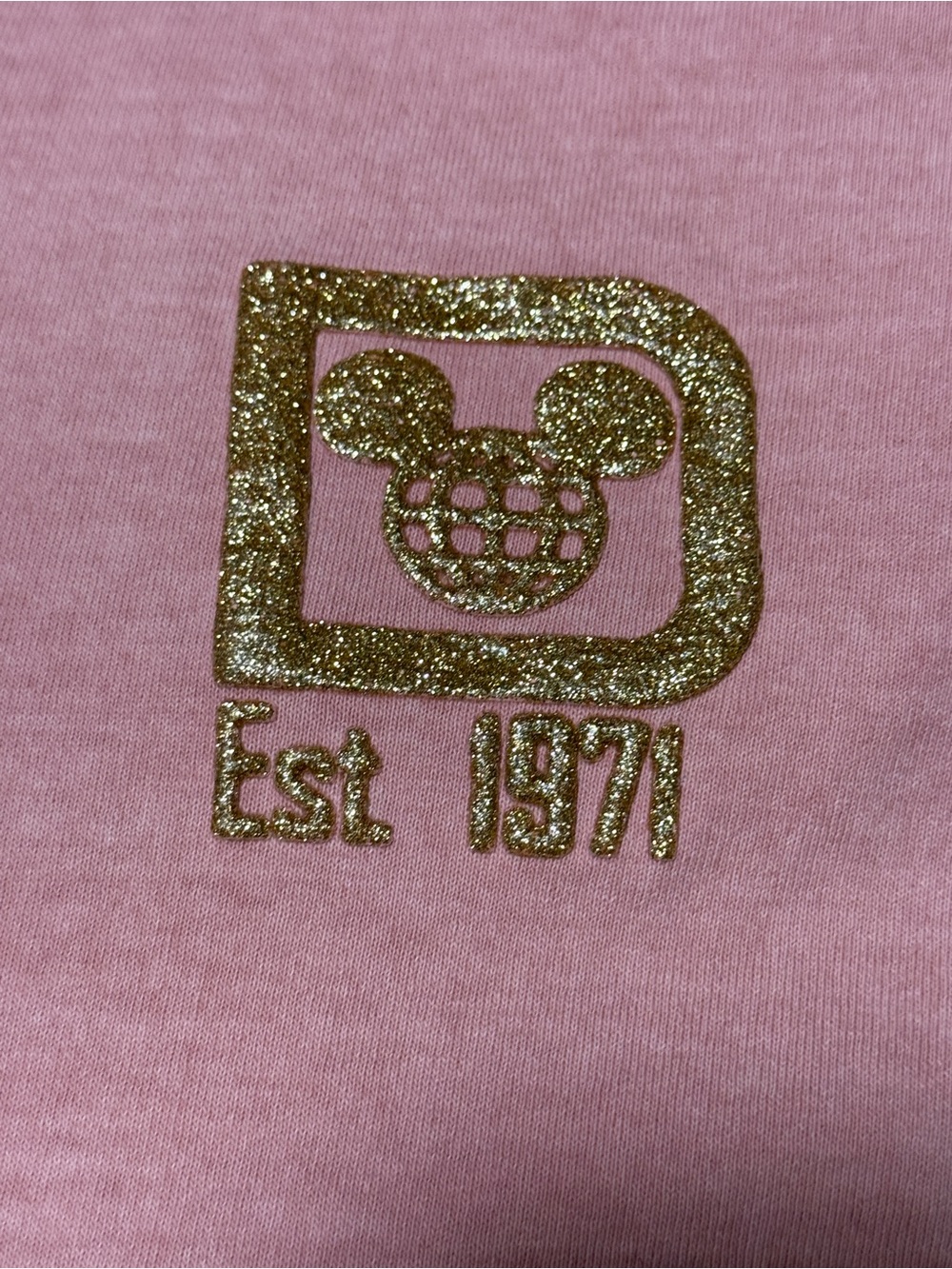 Disney Walt Disney World Briar Rose Gold Spirit Jersey Pink Size L NWT - Picture 4 of 9